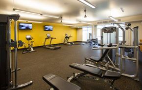 Portland apartment for rent - A gym with a variety of equipment including treadmills, weight machines, and a bench press.